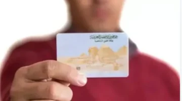 تجديد سريع.. تعرف على خطوات تجديد بطاقة الرقم القومي للمقيمين بالخارج بسهولة من أماكنهم